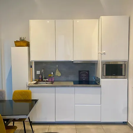 Tonyaflowersapp * Illkirch-Graffenstaden